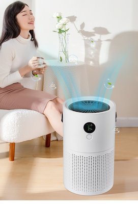 小米有品负离子空气净化器家用除小型去二手烟异味净化清新机